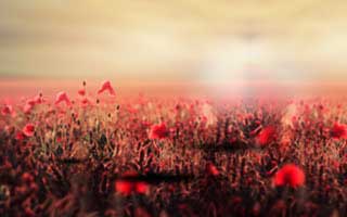 Halda Therapeutics: What's Up With The Stock?